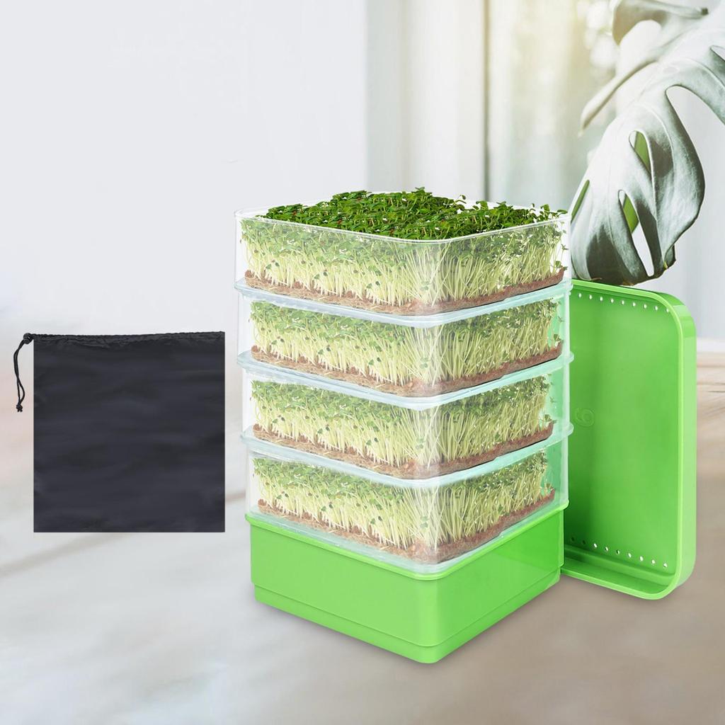 Seed Sprouter Kits 4 Tier Mini Plant Grow Tray for Beans Wheat Alfalfa