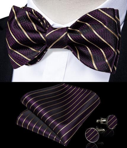 Мужской шелковый галстук-бабочка, регулируемый синий галстук-бабочка, набор запонок с цветочным принтом пейсли