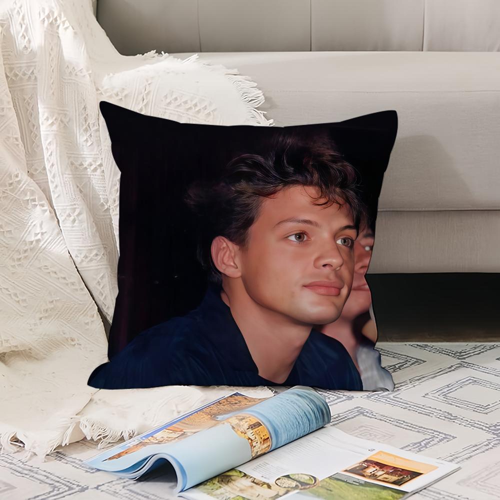 Mexican singer LLuis Miguel Pillow Case Office Cushions Suitable For Sofa Car Bedroom Decorative Cushion Cover