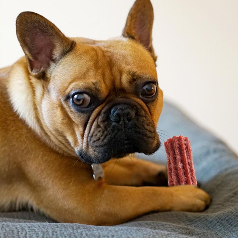 Weiji Bite-Resistant Dog Chews: Dental Cleaning Bone for Medium To Large Breeds - Teddy Shape