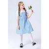 Wizard Of Oz Blue Checkered Costume Dress With Headband For Girls Roleplay Special Characters Included