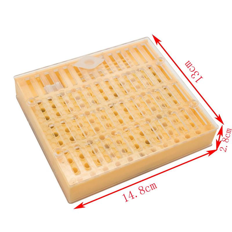 Beekeeping King Queen Bee Rearing System Box Plastic Cup Cell Protection Cover Cage Apiculture Kit Bees Tools Supplies 1 Set