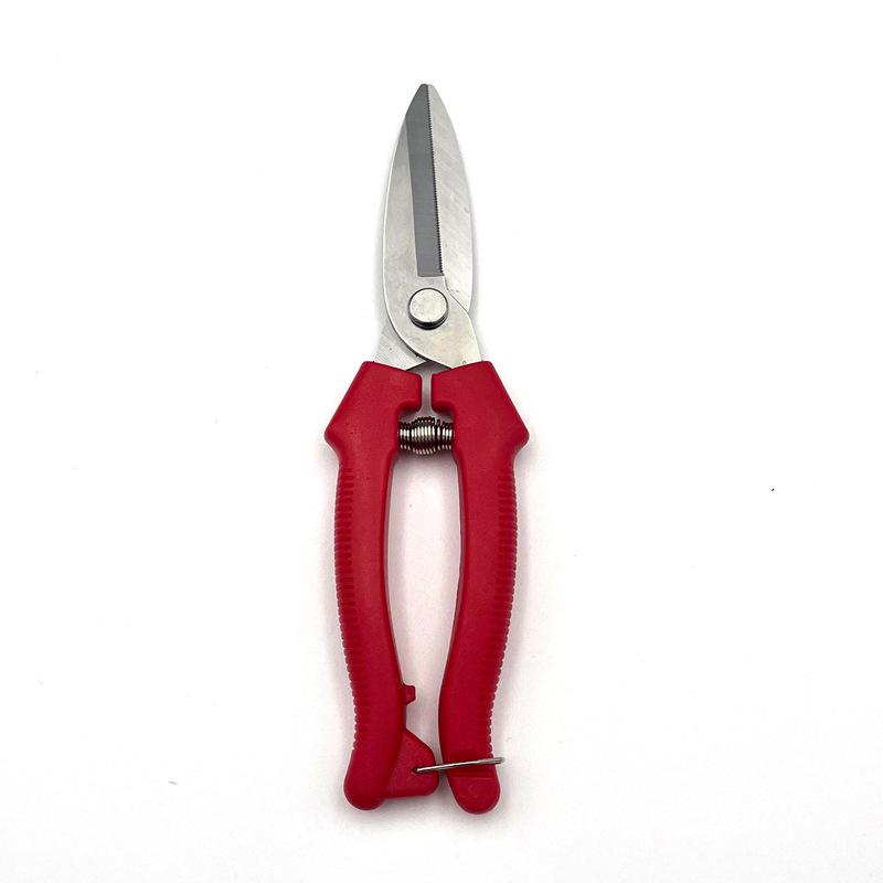 Stainless Steel Pruning Scissors for Garden, Branch, and Flower Arranging