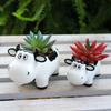 2 шт., смоляной горшок в форме коровы, горшок для суккулентов в виде животных, настольное украшение, цветочный горшок в виде мультяшной коровы для мини-растений, цветок кактуса