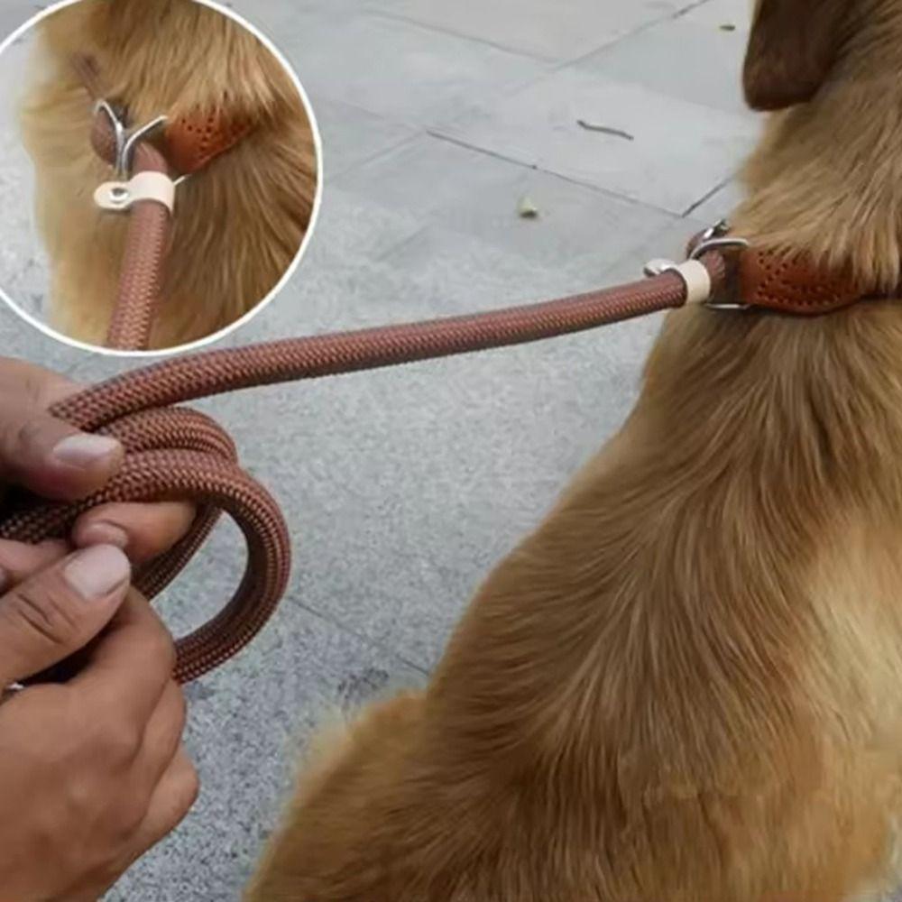 Регулируемый петлевой ошейник, поводок-петля для маленьких, средних и крупных собак