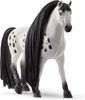 Schleich Horse Club Лошадь-красавица Кнапструппер (мужчина) 42622