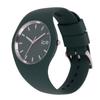 Авторизованный дистрибьютор [Ice Watch] Часы Ice Watch женские унисекс 018646 Ice Grace Classy Green Medium