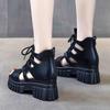 Female Summer Hollow Out Breathable Roman Sandals Women's Large Size All-match High-heeled Platform Black Sandals