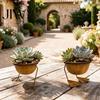 Outdoor Plant Container Metal Bird Foot Planter Bowl, Vintage Chicken Duck Paw Base Small Succulents Sculptural Flower Bowl Pot, Rustproof Flowerpot