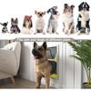 MIAOTONG Large Dog Door Replacement Flaps with Screws, Dog Door Flap Compatible with PetSafe Freedom Doggie Doors PAC11-11039,10 1/8" X 16 7/8",