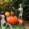 40cm Posable Halloween Human Shape Skeleton Skeleton Human Shape Bones Halloween Herror Decorations Haunted House Horror Props