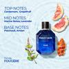 Fastrack Perfume Ease |Аромат для мужчин| 100 мл EDP |Стойкий запах |Водный аромат| Создано европейскими экспертами|Лучший подарок для мужчины