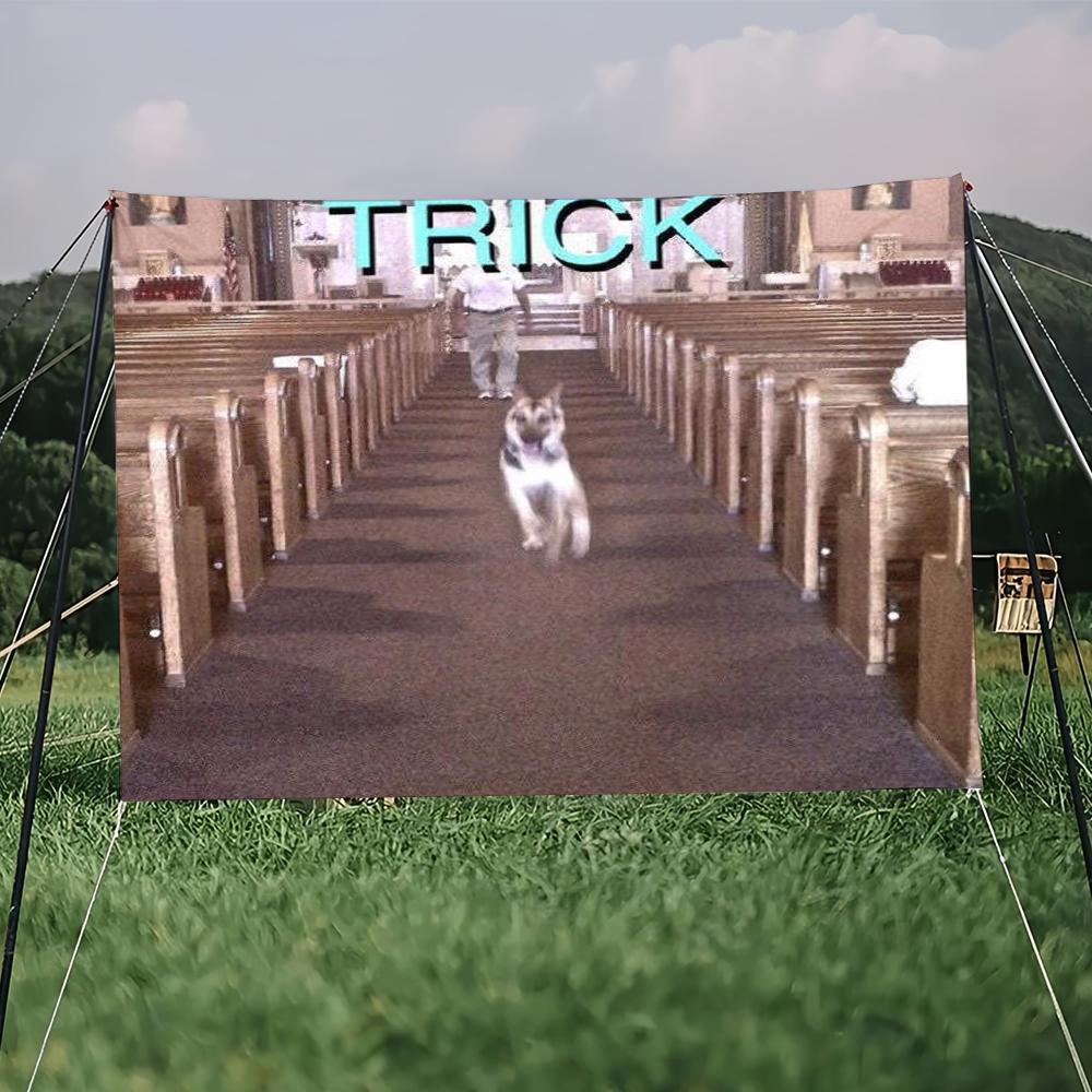 Singer Alex G Trick flag College Bedroom Living Room Home Dorm Decor Funny Tapestry Garage Bar Wall Club Banner