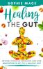 The Healing the Gut : Beyond Digestive Products and How Meditation Is Key To a Healthy Gut : 2 Book