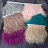 Color Ostrich Hair Cloth Edge 9-11Cm Dress Fashion Decoration Feather Cloth With Fringe Clothing Accessories