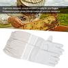 Pair Anti Sting Breathable Bee Gloves Long Sleeves Elastic Cuff Beekeeper Protective Tool with Mesh(XL )