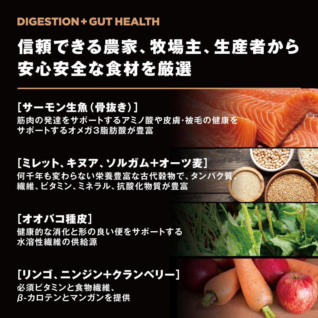 SOLUTIONS Пищеварение Здоровье кишечника Корм для собак 800 г Лосось Пробиотики Фрукты Для всех возрастов Для всех пород собак [Уход за кишечником] ВПЕРЕД! + [Перейти к решениям]