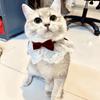 Cute Cat Bow Collar Breakaway Floral Aesthetic Cats Bowtie Collar Bow Tie with Bell for Indoor Cats Kitten and Small Dogs Puppies (Pink, M (7-11lbs))