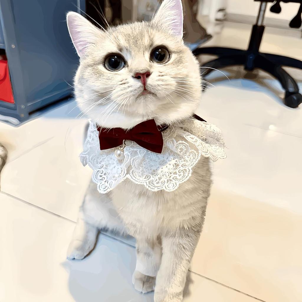 Cute Cat Bow Collar Breakaway Floral Aesthetic Cats Bowtie Collar Bow Tie with Bell for Indoor Cats Kitten and Small Dogs Puppies (Pink, M (7-11lbs))