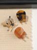 3Pcs 1 Inch Compact Hair Clips Mini Claws Clips For Thin Thick Hair Cellulose Acetate Jaw Clips For Hair Styling Tortoise Shell X
