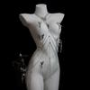 Sexy Body Chain Butterfly Nipple Clamp Breast Massager BDSM Necklace Nipple Ring Anal Plug Clitoris Clip Anal Stimulator Adults