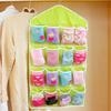 16-Pocket Door Back Hanging Bag Socks Bra Underwear Hanger Storage Organizer