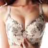 FallSweet Embroidery Bra for Women Sexy Push Up Brassiere C D Cup Underwear