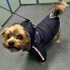 Зимняя одежда для домашних животных, водонепроницаемая куртка для собак для маленьких и средних собак, теплый костюм для щенков, наряды для французского бульдога, светоотражающая куртка, одежда для чихуахуа