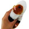 Sanei Boeki Original Plush Pure Fuwa Friends Guinea Pig X D17 X Animal (S) (S) W7.5 H6.5cm