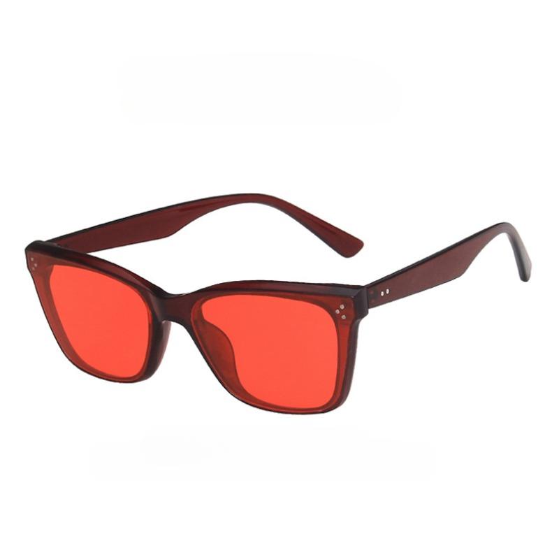 Kitty Cat Eye Sunglasses with Small Frames for Women New Style Shades for Celebrities and Instagram Influencers