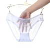 Low Waist Transparent Mesh Briefs Sexy Underwear Cute Panties for Women