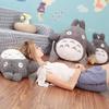 Totoro Plush Toy, 20-70 cm