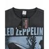 Amplified Led Zeppelin Tour 77 Mens T-shirt