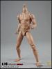 COOMODEL COO BD003 Male Action Body for Figures [TOYBARJAPAN] 1/6