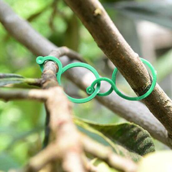 Garden Plant Clips Reusable Plant Support Ties Climbing Plants Clips Vine Support Clips for Indoor Outdoor Gardening