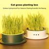 Grass Planting Box Reusable Hydroponic Cat Grass Planting Box Durable Convenient Grass Growing Box