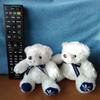 [USED] Mini Teddy Bear (Pair/Twins) Stuffed Bears