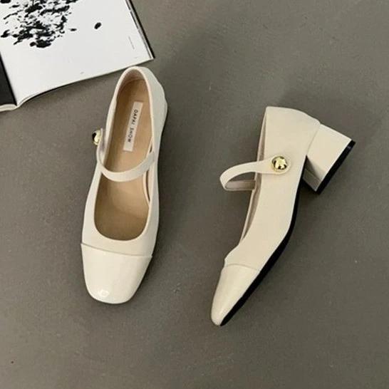 Fashion Thick Heel Mary Jane Single Shoes Women's New Spring French Mid Heel Evening Black Square Head Small Leather Shoes