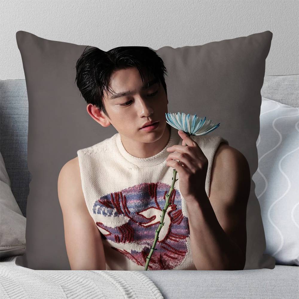 Korean Celebrity PPark Jinyoung Pillow Case Fashion Square Pillowcase Bedroom Sofa Room Ins Decoration Leisure