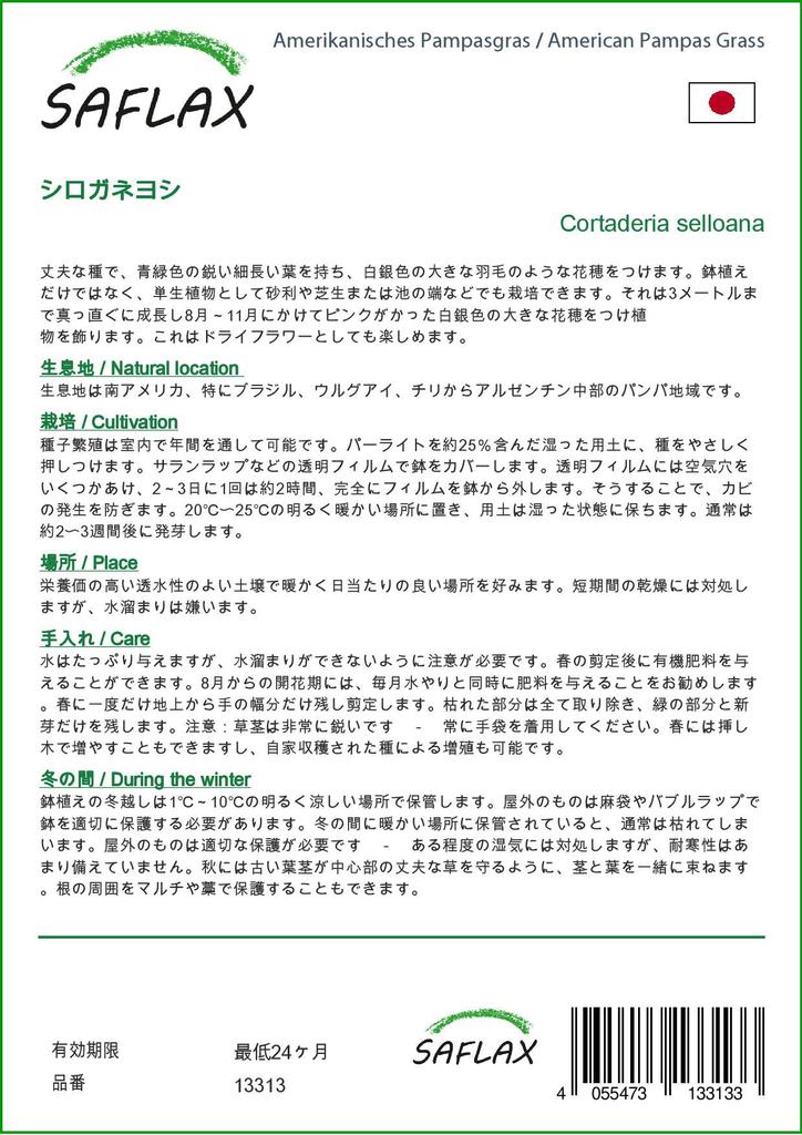 SAFLAX Garden in the Bag - Трава американской пампасы - 200 семян - С субстратом в подходящем мешке - Cortaderia Selloana