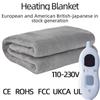 Cross-Border Electric Blanket - European, British, American Standards 110V Electric Mattress
