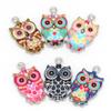 2/6 шт. 13*23 мм форма совы, сплав, капля масла, подвеска для изготовления ювелирных изделий, ожерелье, браслет, серьги «сделай сам»