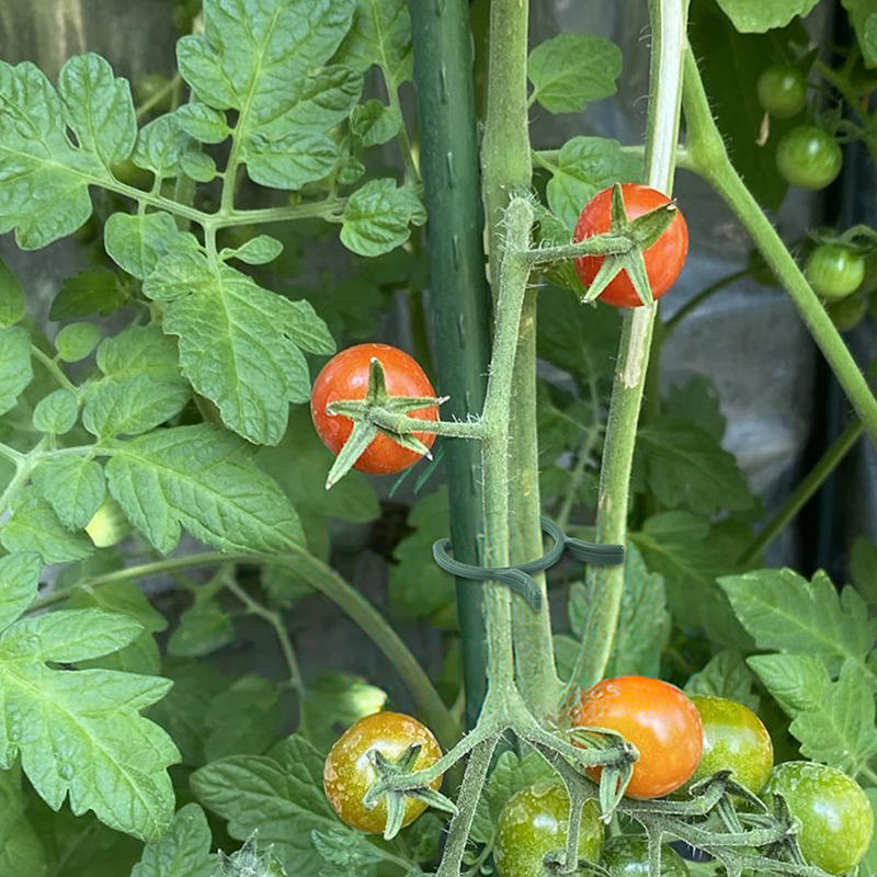 100/200 шт. зажимы для поддержки растений для вьющихся растений многоразовые зажимы для захвата садовых овощей и томатов
