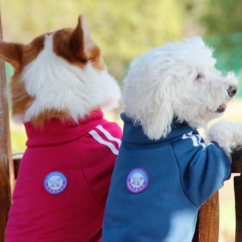 Cotton Pet Hoodie Teddy Poodle Shih Tzu Corgi Dogs Trendy Retro Style Unisex Large Size