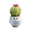 Positive Crochet Ball Cactus with Encouraging Card Emotional Support Handmade Knitting Potted Succulent Doll Toy Decoration Ornament