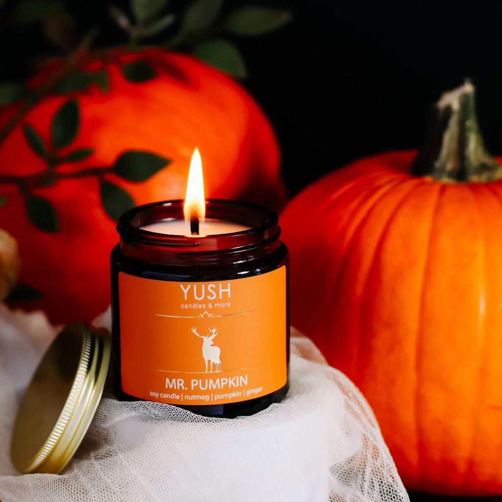 Mr. pumpkin -świeca sojowa dyniowa korzenna imbirowa - yush - 120ml