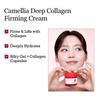 ROUND LAB Camellia Deep Collagen Firming Cream 50 мл