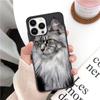 Мягкий чехол для телефона с домашним животным мейн-куном и котом для iphone 14pro 11pro 12 13pro max 5S 6s xs 7 8plus SE xr 12mini Coque, чехлы
