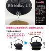 [Nambu Tekki] Чугунный чайник 800 мл – Узор «Арарэ» – Черный 0,8 л