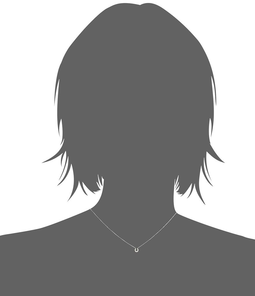 Vendome Necklace K10 White Gold Diamond Horseshoe GJBN012040DI [Official] [VIH Aoyama] 0.02ct